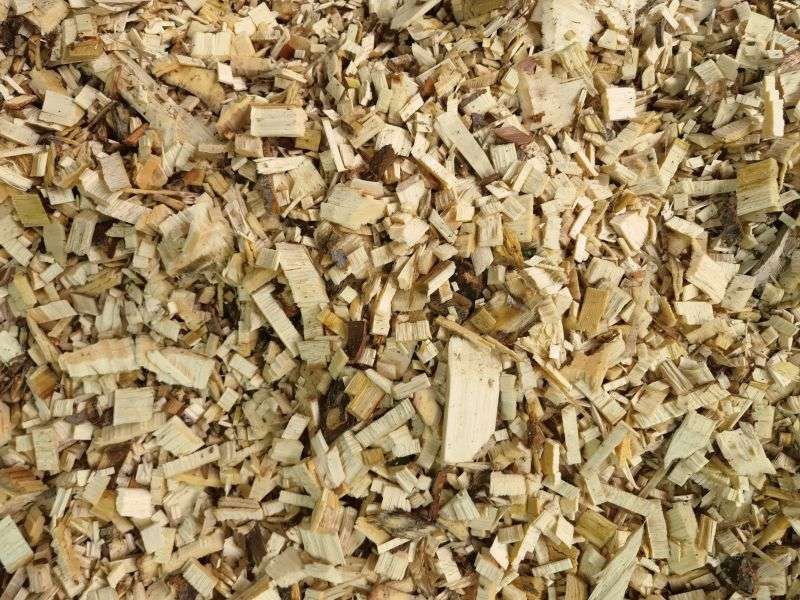 球盟会·(中国)-官方网站