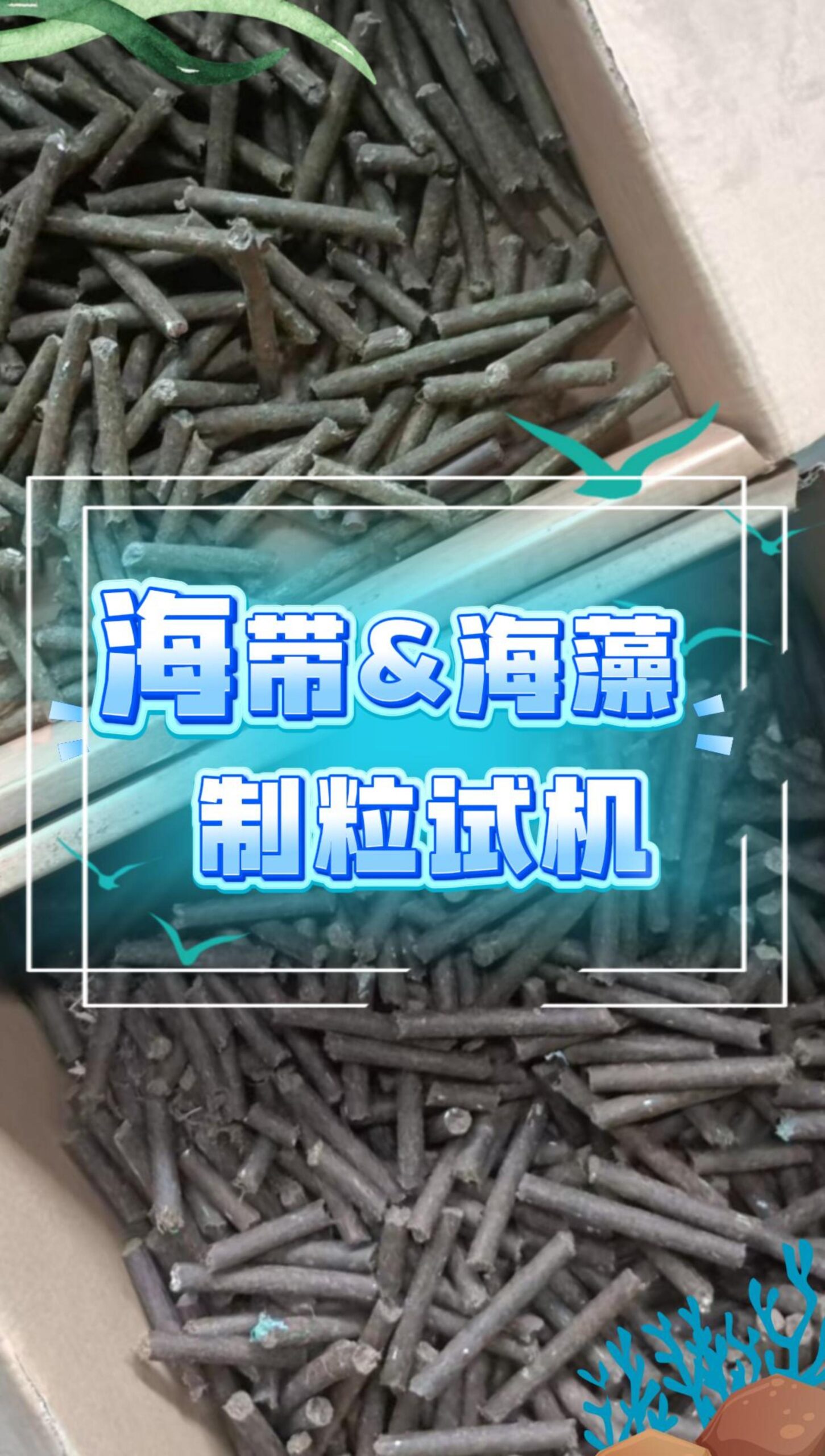 球盟会·(中国)-官方网站